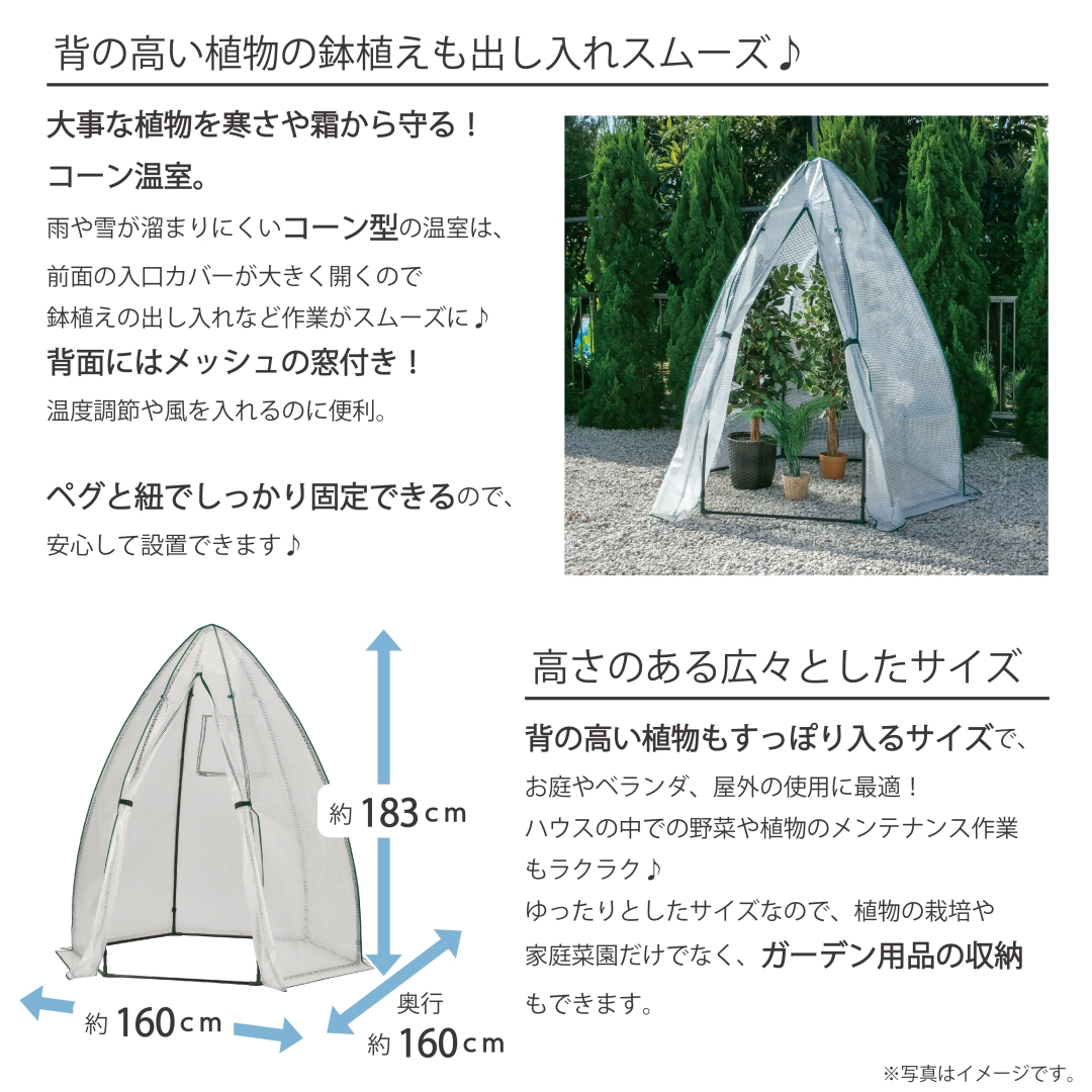 コーン温室