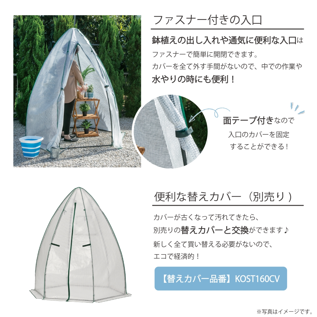 コーン温室