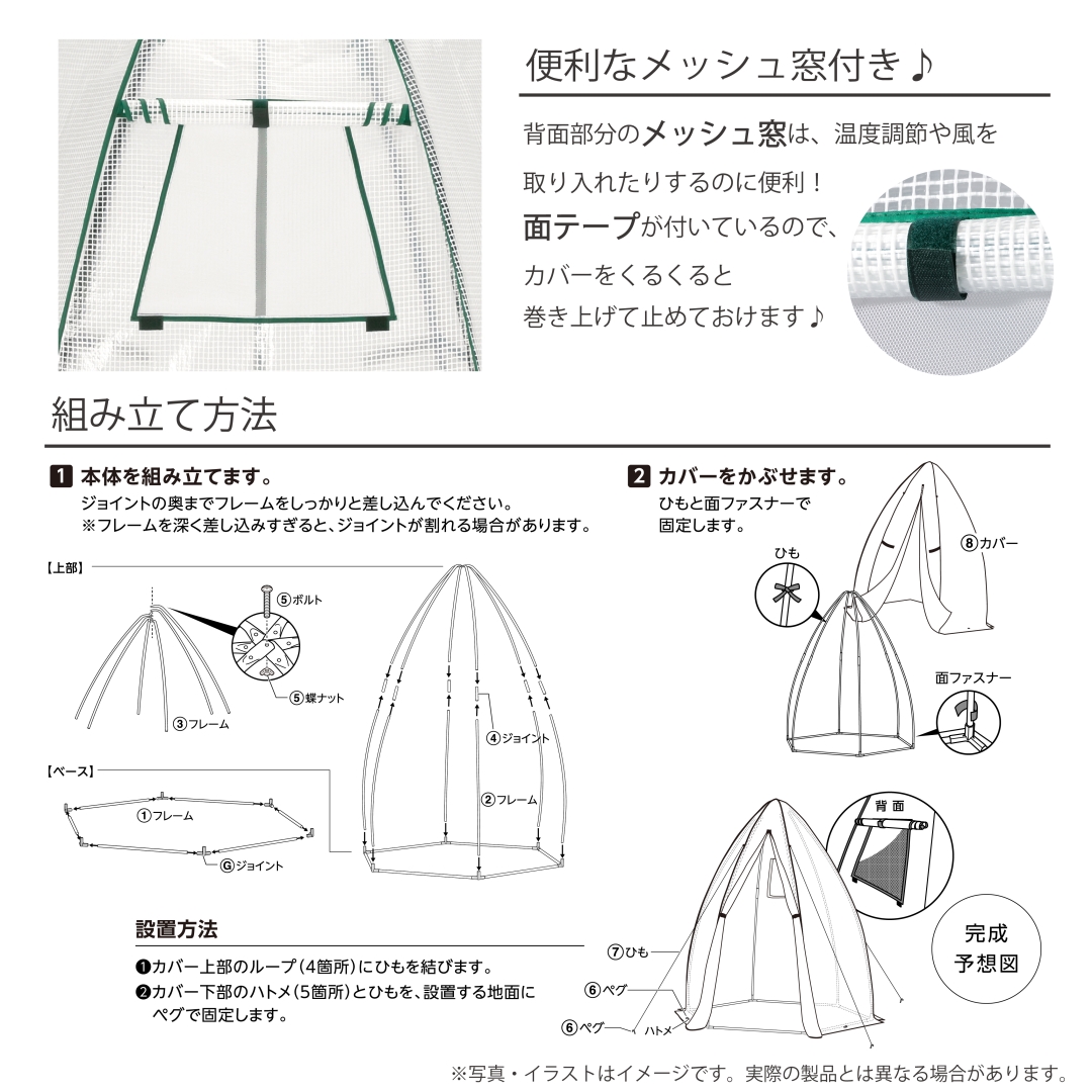 コーン温室