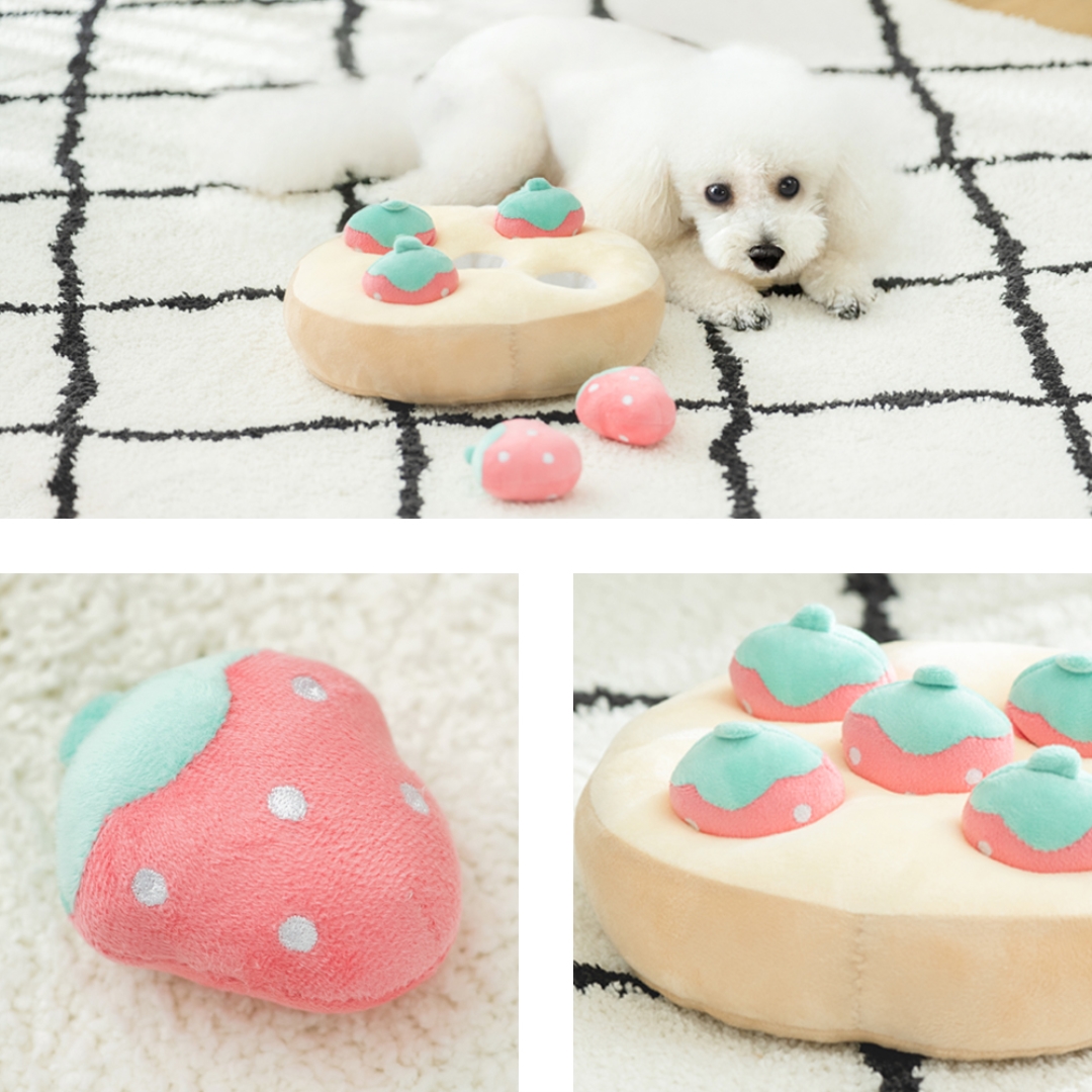 ノーズワーク ケーキ