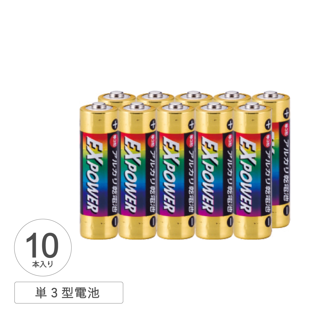 アルカリ乾電池EXPOWER単三型10本パック 1箱(80セット)