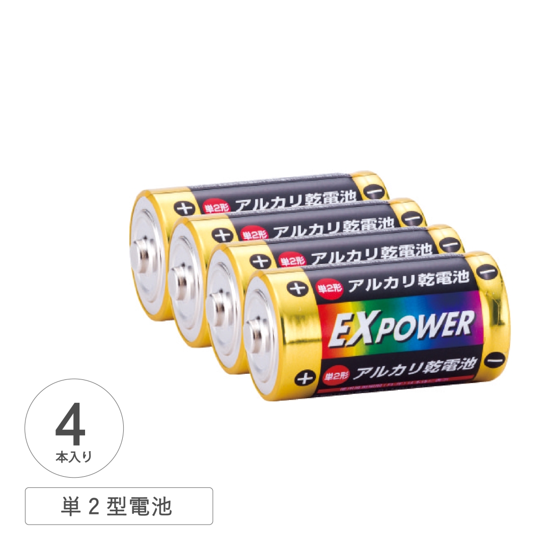 アルカリ乾電池EXPOWER単二型4本パック 1箱(48セット)
