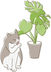 猫のイラスト