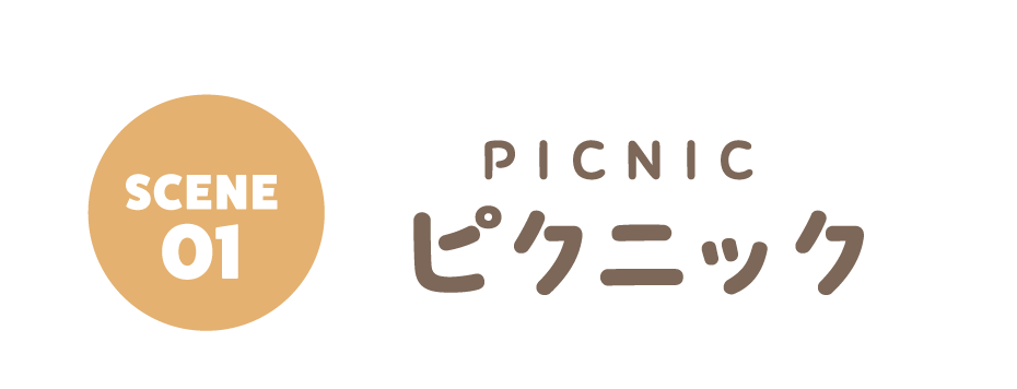 PICNIC-PC